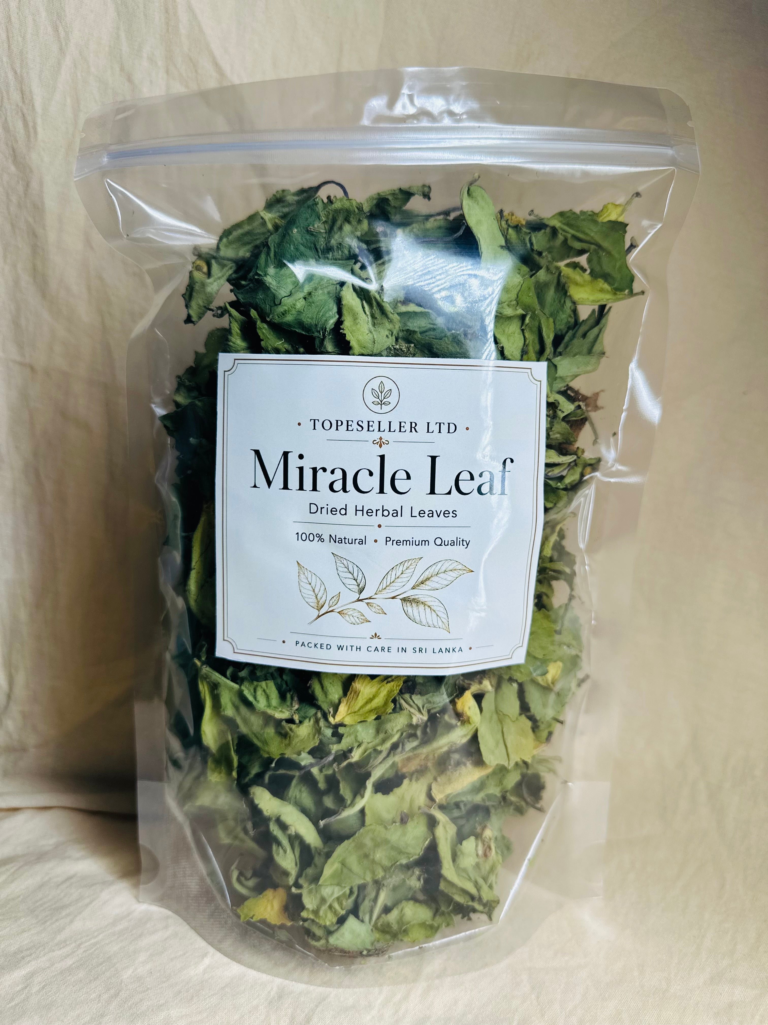 Dried Miracle Leaf (Kalanchoe Pinnata) – Premium Natural Dried Leaves