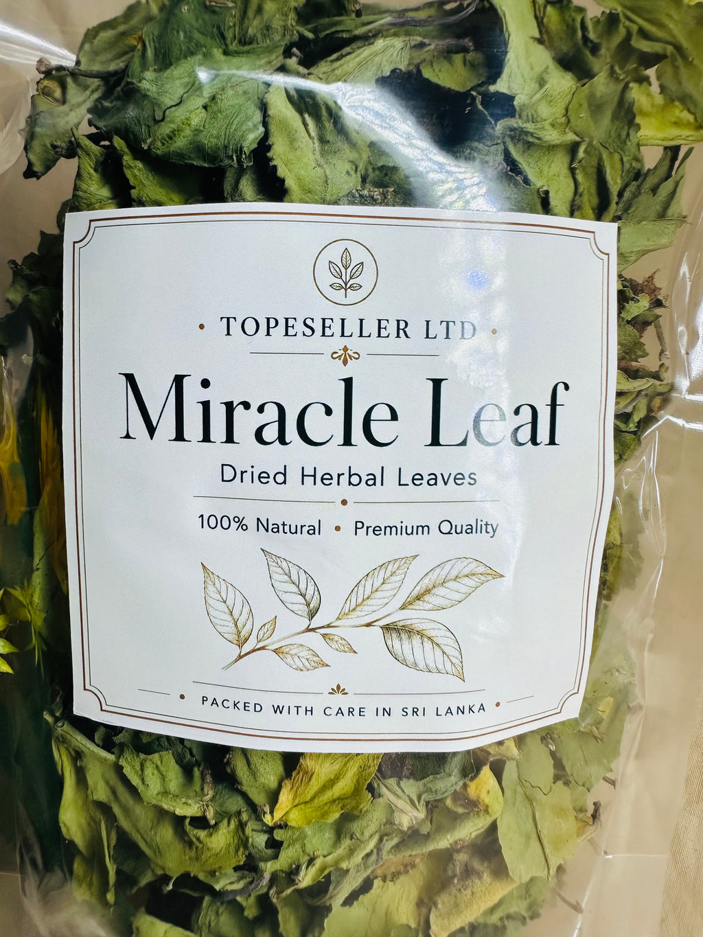Dried Miracle Leaf (Kalanchoe Pinnata) – Premium Natural Dried Leaves