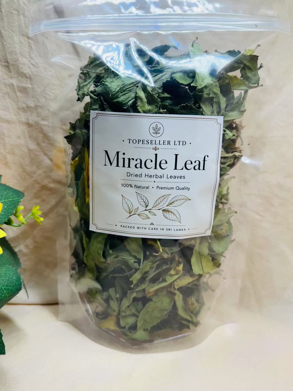 Dried Miracle Leaf (Kalanchoe Pinnata) – Premium Natural Dried Leaves